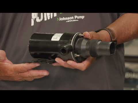 Johnson Pump Standard Electric Comfort Macerator Style 12V