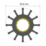 Albin Group Premium Impeller Kit 65.8 x 25 x 80mm - 12 Blade - Spline Insert - Kesper Supply