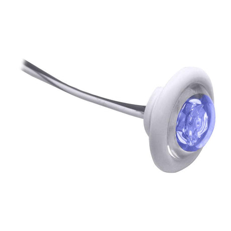 Innovative Lighting LED Bulkhead/Livewell Light "The Shortie" Blue LED w/ White Grommet - Kesper Supply